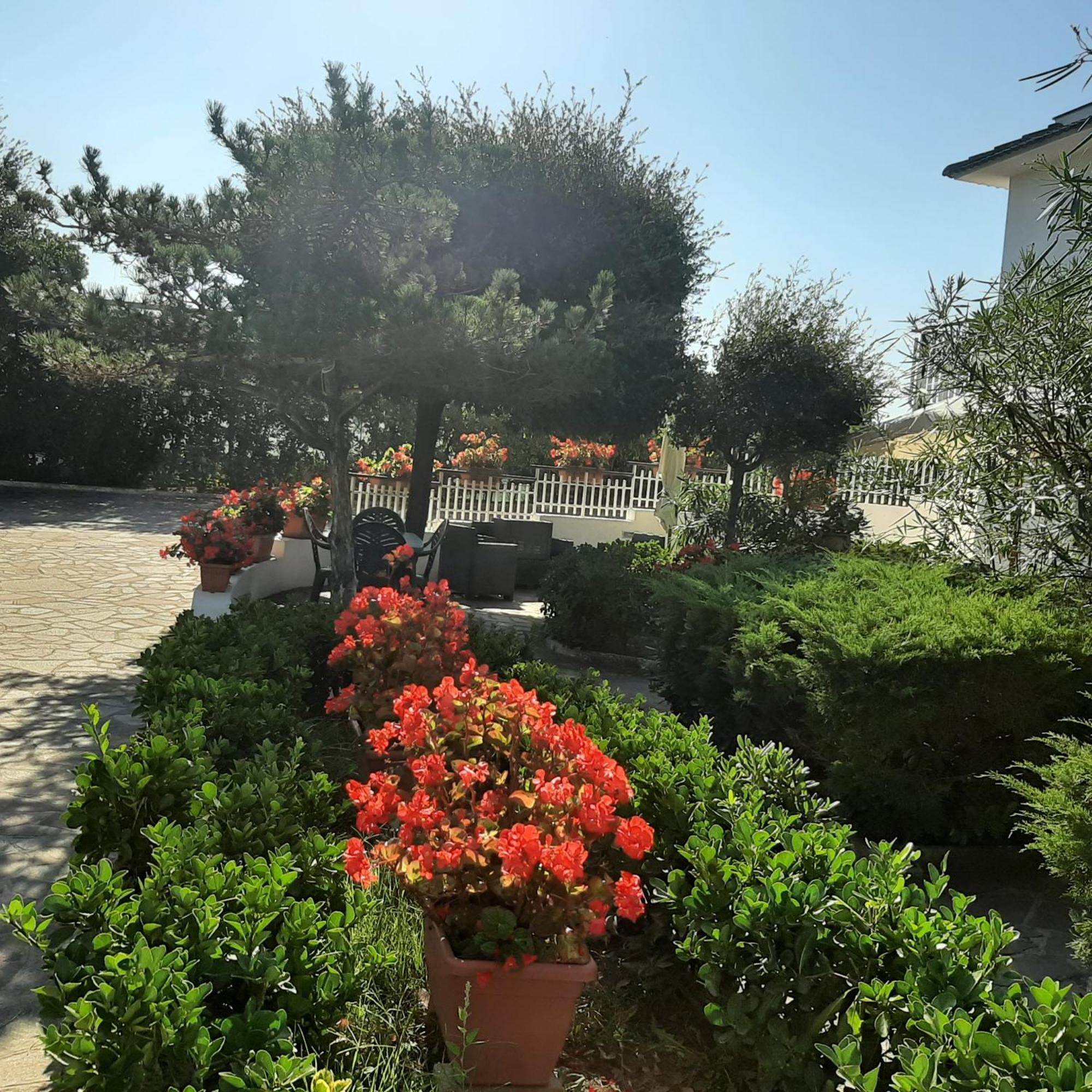 Apartment Valentini: Beachfront Comfort With Garden And Private Parking Minturno